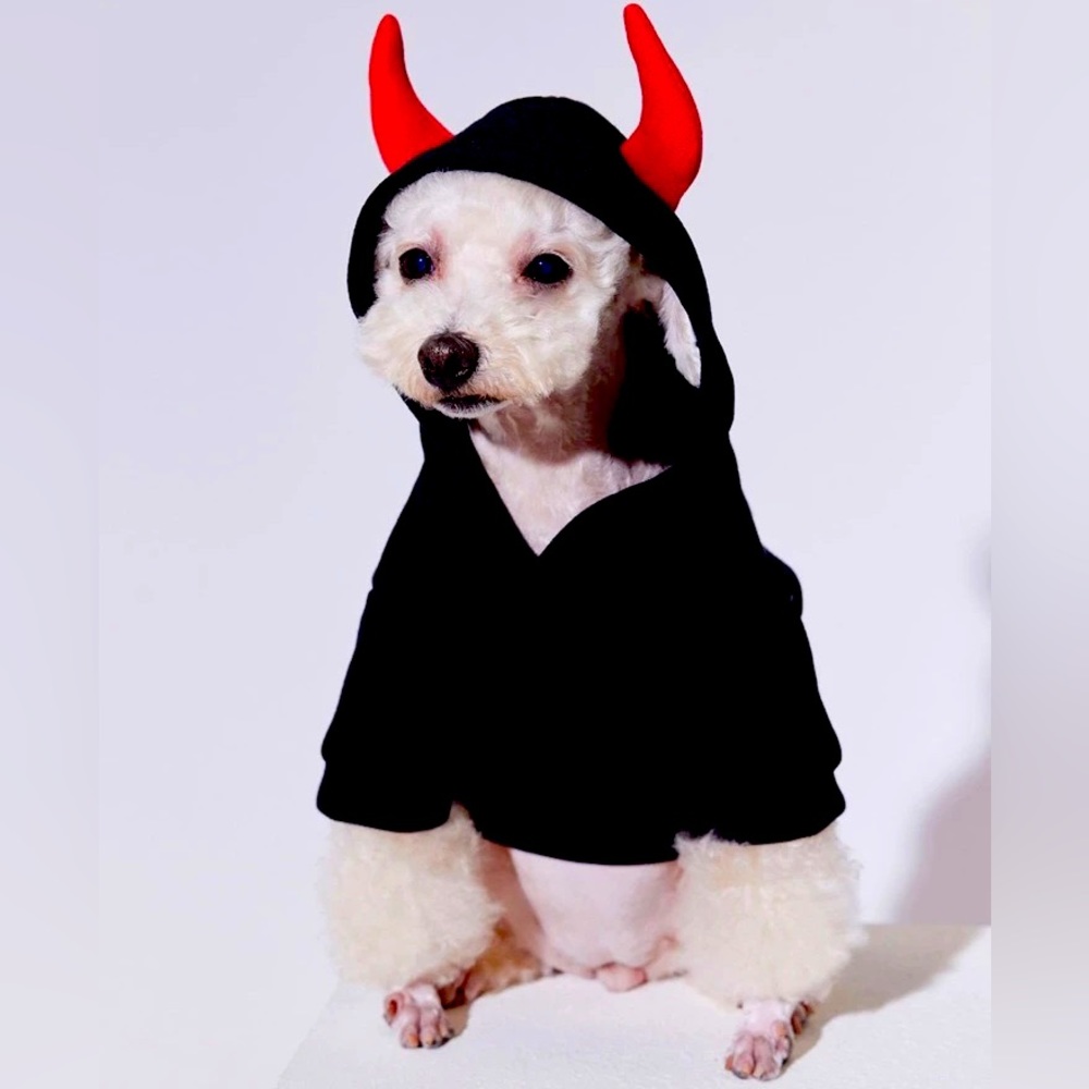 Dog / Puppy / Cat Devil Hoodie Halloween Costume NEW